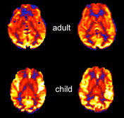 Adult v child asl