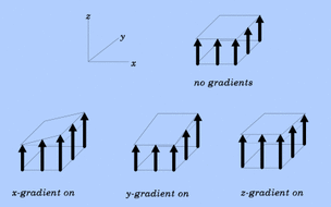 magnetic field gradient, MRI scanner