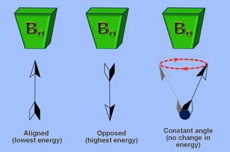 nuclear precession