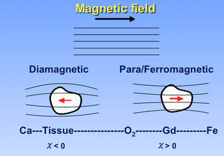 Magnetic susceptibility