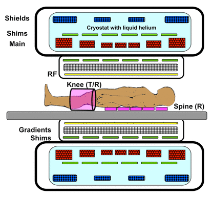 MRI coils, gradients, magnet