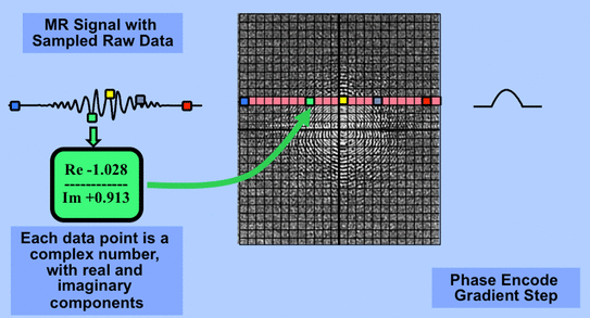 k-space data point