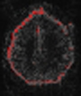 mean squared error motion correction fmri