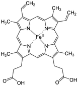 heme structure