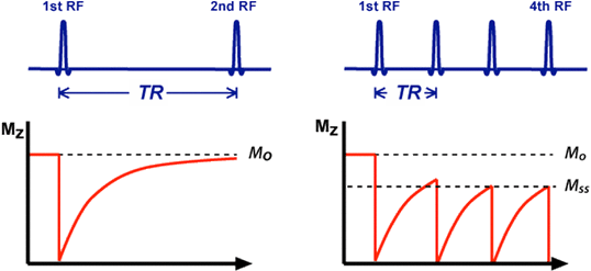 Partial saturation MRI