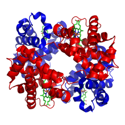 hemoglobin 3D