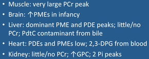 p31 organ summary